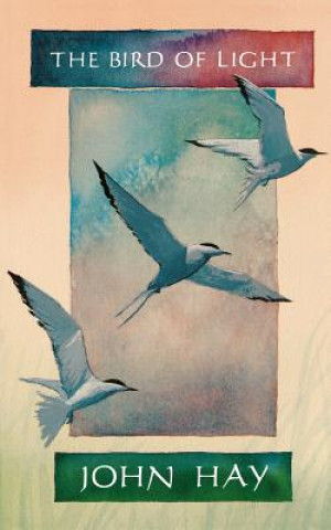 Livre Bird of Light John Hay