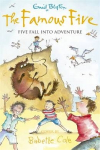 Kniha Famous Five: Five Fall Into Adventure Enid Blyton