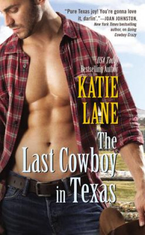Kniha Last Cowboy in Texas Katie Lane