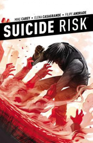 Book Suicide Risk Vol. 4 Mike Carey