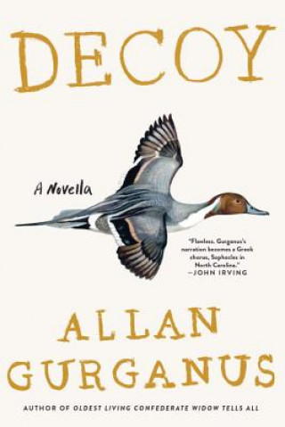 Kniha Decoy - A Novella Allan Gurganus
