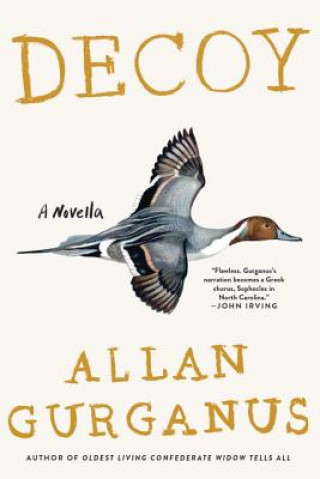 Buch Decoy - A Novella Allan Gurganus