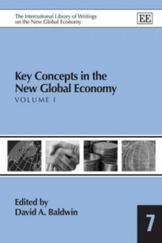 Kniha Key Concepts in the New Global Economy David A. Baldwin