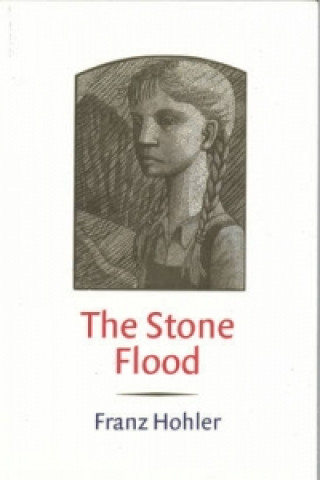 Könyv Stone Flood Franz Hohler