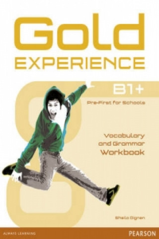 Kniha Gold Experience B1+ Workbook without key Sheila Dignen