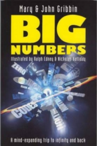 Kniha Big Numbers Mary Gribbin