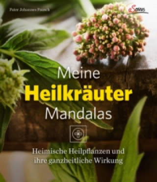 Книга Meine Heilkräutermandalas Johannes Pausch