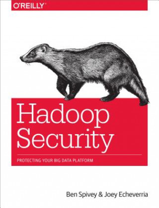 Książka Hadoop Security Ben Spivey