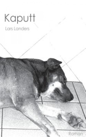 Boek Kaputt Lars Landers