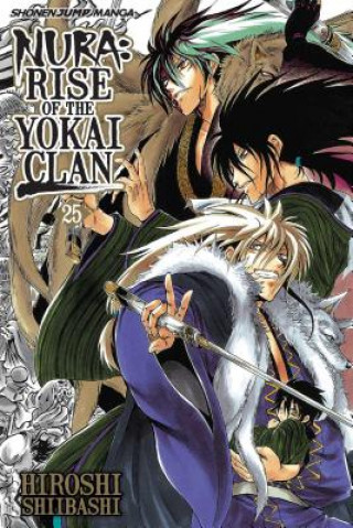Kniha Nura: Rise of the Yokai Clan, Vol. 25 Hiroshi Shiibashi