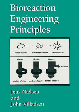 Kniha Bioreaction Engineering Principles Jens Nielsen