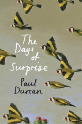 Kniha Days of Surprise Paul Durcan