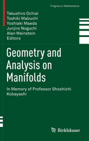 Knjiga Geometry and Analysis on Manifolds Takushiro Ochiai