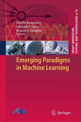 Könyv Emerging Paradigms in Machine Learning Sheela Ramanna