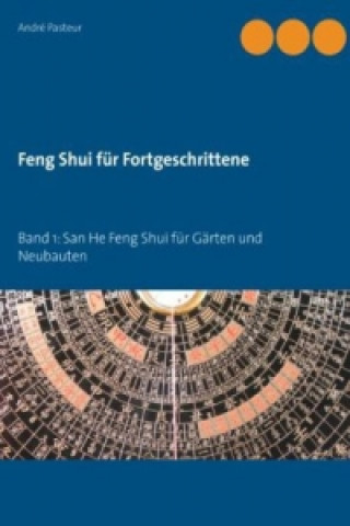 Knjiga Feng Shui für Fortgeschrittene. Bd.1 André Pasteur