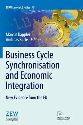 Kniha Business Cycle Synchronisation and Economic Integration Marcus Kappler
