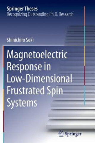 Книга Magnetoelectric Response in Low-Dimensional Frustrated Spin Systems Shinichiro Seki