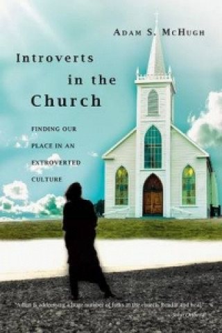 Kniha Introverts in the Church Adam S McHugh