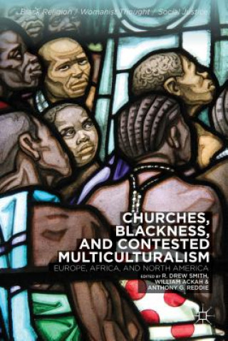 Kniha Churches, Blackness, and Contested Multiculturalism R Drew Smith