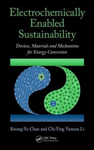 Kniha Electrochemically Enabled Sustainability Kwong-Yu Chan