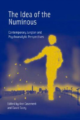 Libro Idea of the Numinous Ann Casement