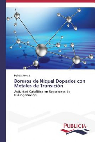 Książka Boruros de Niquel Dopados con Metales de Transicion Delicia Acosta