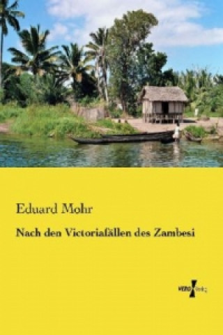 Carte Nach den Victoriafallen des Zambesi Eduard Mohr