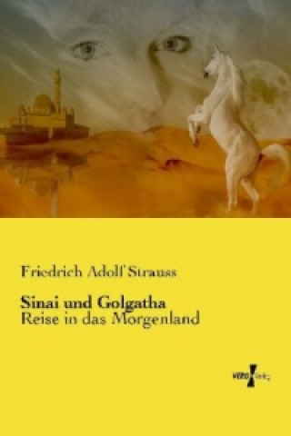 Carte Sinai und Golgatha Friedrich Adolf Strauss