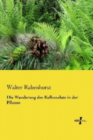 Kniha Die Wanderung des Kalkoxalats in der Pflanze Walter Rabenhorst