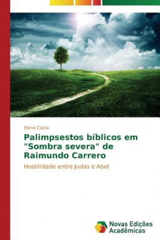 Carte Palimpsestos biblicos em Sombra severa de Raimundo Carrero Eliene Costa