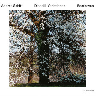 Audio Diabelli-Variationen, 2 Audio-CDs Ludwig van Beethoven