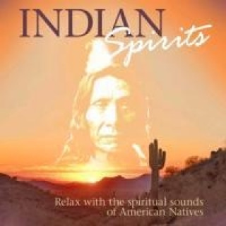 Audio Indian Spirits, 2 Audio-CDs Various