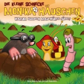 Audio Warum buddeln Maulwürfe Hügel?, 1 Audio-CD Kati Naumann