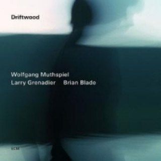 Hanganyagok Driftwood, 1 Audio-CD Wolfgang Muthspiel