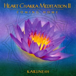 Audio Heart Chakra Meditation. Vol.II, 1 Audio-CD Karunesh