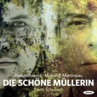 Audio Die schöne Müllerin, 1 Audio-CD Franz Schubert