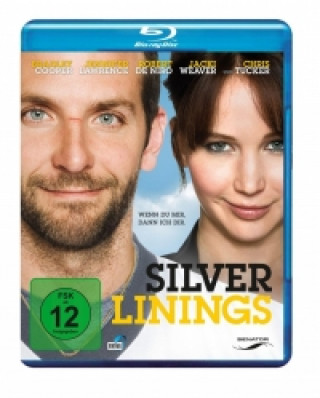 Video Silver Linings, 1 Blu-ray Jay Cassidy