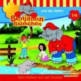 Audio Benjamin Blümchen und der Delfin, 1 Audio-CD Elfie Donnelly