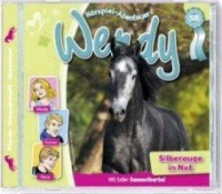 Audio Wendy - Silberauge in Not, 1 Audio-CD Wendy