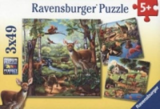 Hra/Hračka Ravensburger Kinderpuzzle - 09265 Wald-/Zoo-/Haustiere - Puzzle für Kinder ab 5 Jahren, mit 3x49 Teilen 
