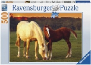 Joc / Jucărie Schöne Pferde (Puzzle) 