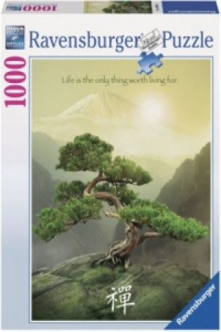 Joc / Jucărie Zen Baum 
