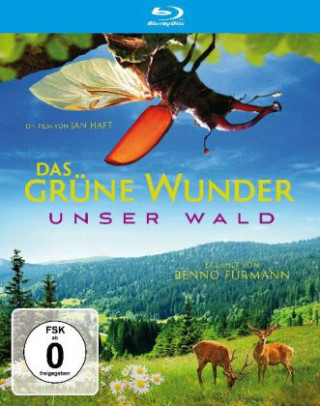Videoclip Das grüne Wunder - Unser Wald, 1 Blu-ray Jan Haft