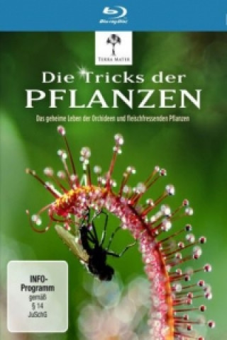 Filmek Die Tricks der Pflanzen, 1 Blu-ray Martin Elsbury
