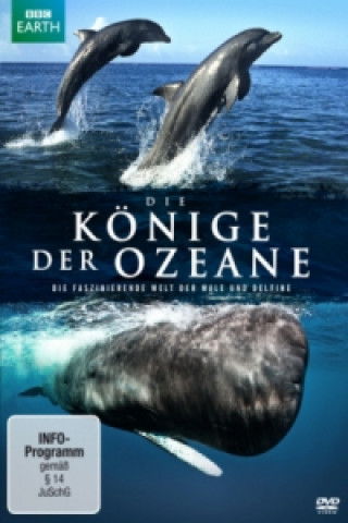 Filmek Die Könige der Ozeane, 1 DVD 