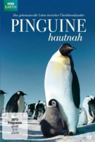 Video Pinguine hautnah, 1 DVD John Downer