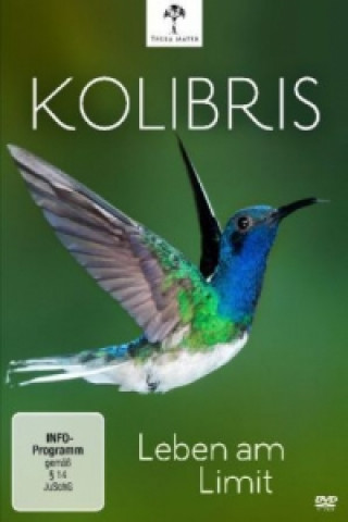 Video Kolibris - Leben am Limit, 1 DVD Michael Potts