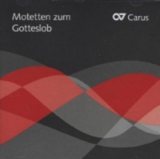 Audio Motetten zum Gotteslob, 1 Audio-CD Figuralchor Köln/Kölner Dommusik/Limburger Domchor