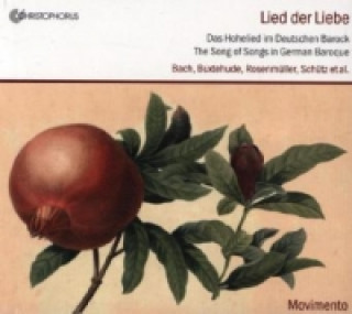 Audio Lied der Liebe, 1 Audio-CD ach