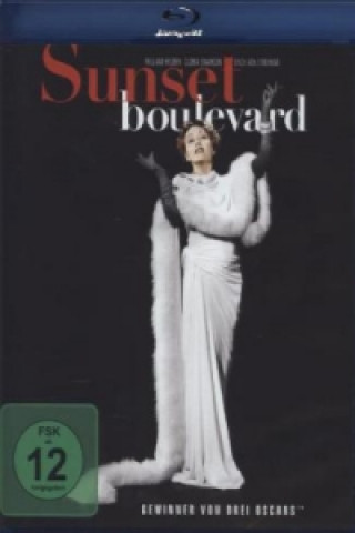 Video Sunset Boulevard, 1 Blu-ray Arthur P. Schmidt